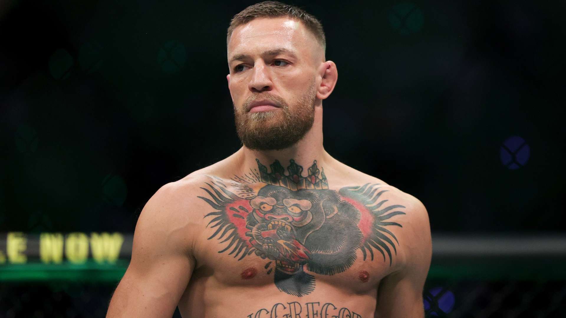 或许在未来 或许在未来