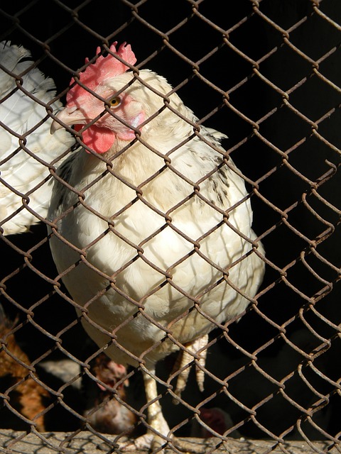 从实际案例 从实际案例