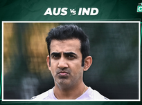 表现成功晋 表现成功晋